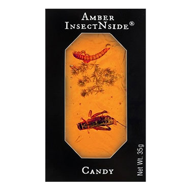 Hotlix InsectNSide Brittle Amber