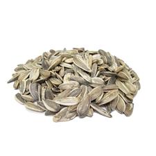 Sunflower Seeds Israeli Roasted Unsalted 1lb