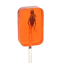 Hotlix Cricket Lick It Sucker Orange 1oz