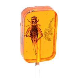 Hotlix InsectNSide Sucker Amber 1oz